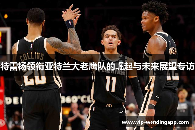 特雷杨领衔亚特兰大老鹰队的崛起与未来展望专访