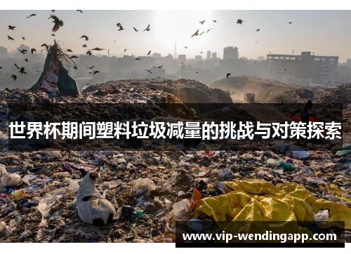 世界杯期间塑料垃圾减量的挑战与对策探索