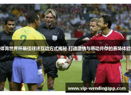 体育世界杯最佳球迷互动方式揭秘 打造激情与感动并存的赛场体验