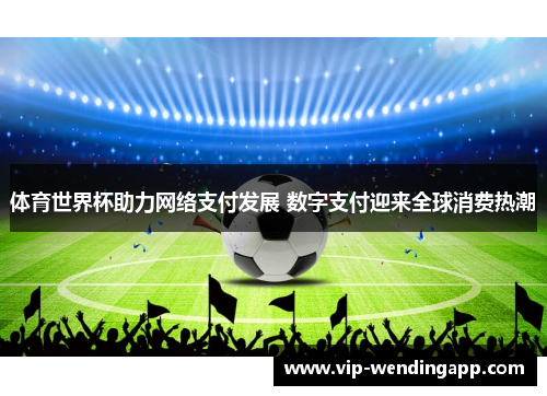 体育世界杯助力网络支付发展 数字支付迎来全球消费热潮