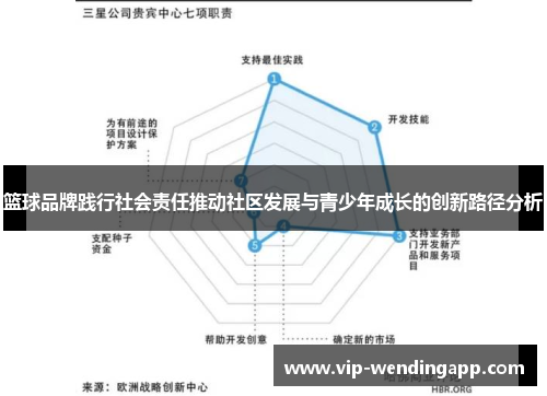 篮球品牌践行社会责任推动社区发展与青少年成长的创新路径分析