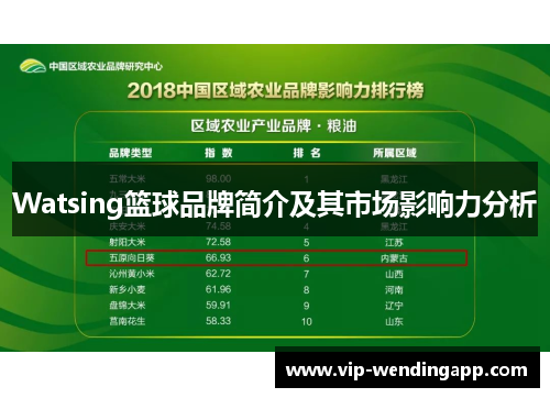 Watsing篮球品牌简介及其市场影响力分析