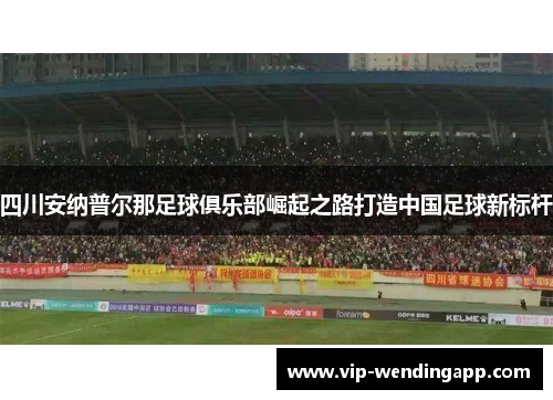 四川安纳普尔那足球俱乐部崛起之路打造中国足球新标杆