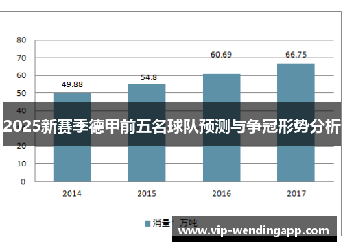 2025新赛季德甲前五名球队预测与争冠形势分析