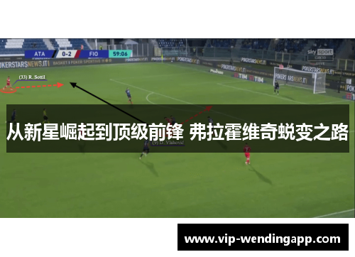 从新星崛起到顶级前锋 弗拉霍维奇蜕变之路