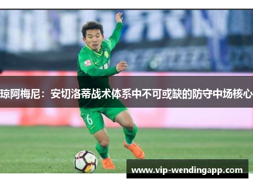 琼阿梅尼：安切洛蒂战术体系中不可或缺的防守中场核心