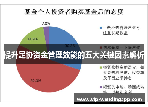 提升足协资金管理效能的五大关键因素解析