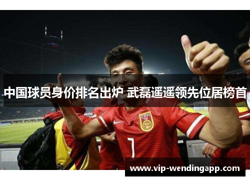 中国球员身价排名出炉 武磊遥遥领先位居榜首