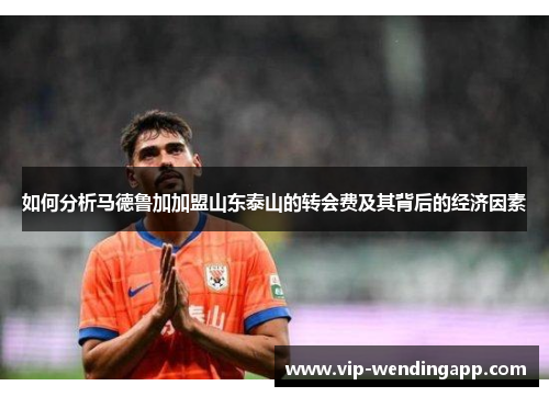 如何分析马德鲁加加盟山东泰山的转会费及其背后的经济因素