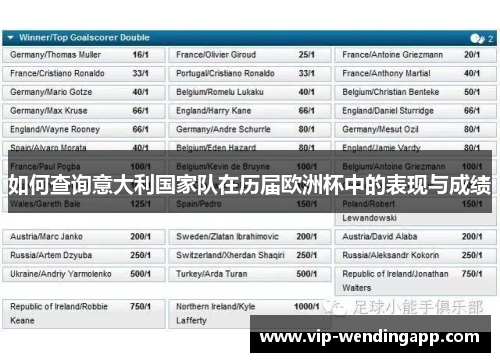 如何查询意大利国家队在历届欧洲杯中的表现与成绩