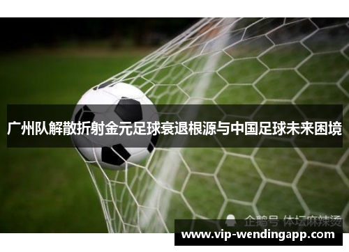 广州队解散折射金元足球衰退根源与中国足球未来困境