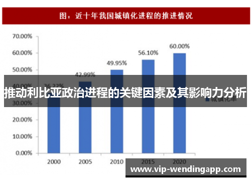 推动利比亚政治进程的关键因素及其影响力分析