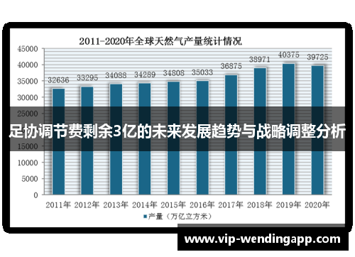 足协调节费剩余3亿的未来发展趋势与战略调整分析
