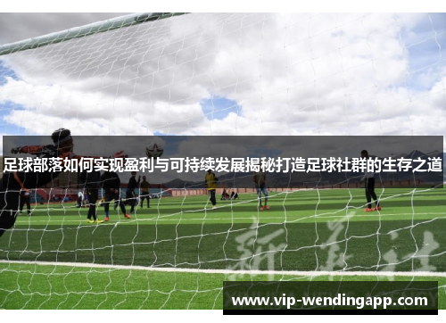 足球部落如何实现盈利与可持续发展揭秘打造足球社群的生存之道