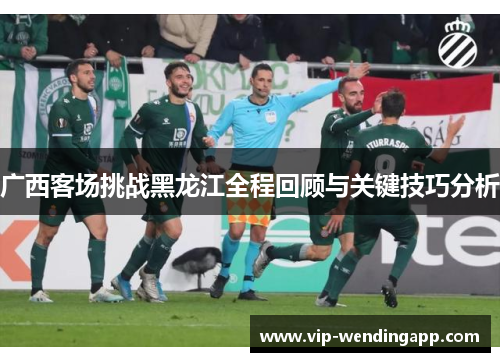 广西客场挑战黑龙江全程回顾与关键技巧分析