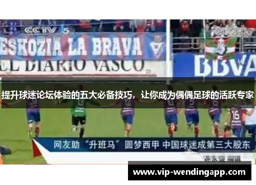 提升球迷论坛体验的五大必备技巧，让你成为偶偶足球的活跃专家