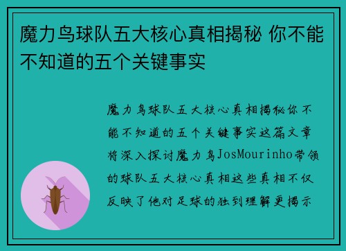 魔力鸟球队五大核心真相揭秘 你不能不知道的五个关键事实