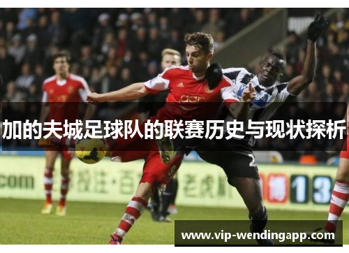 加的夫城足球队的联赛历史与现状探析
